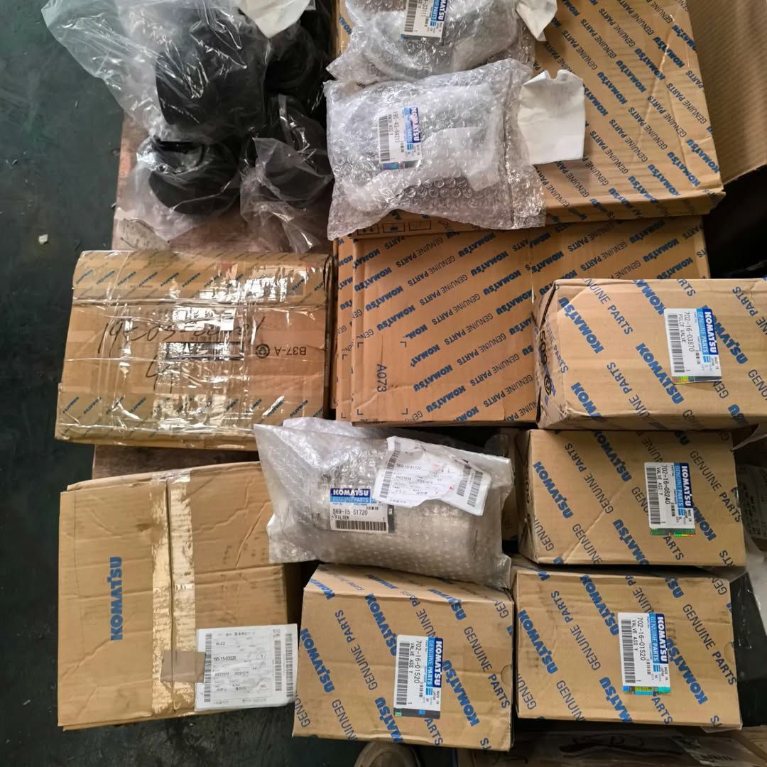 سنسور و سنولوئید